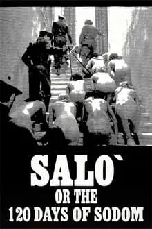 Dir. Pier Paolo Pasolin